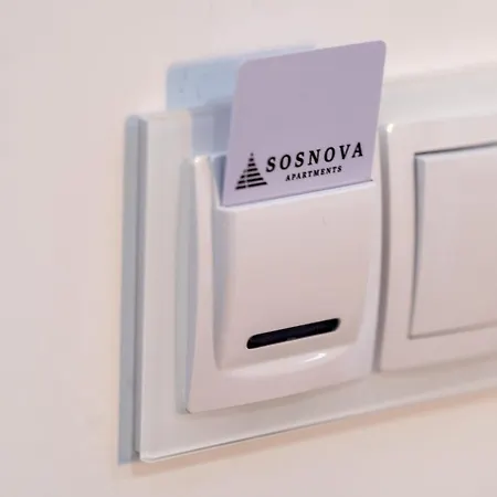 Sosnova Apartment *