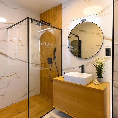 Sosnova Apartment