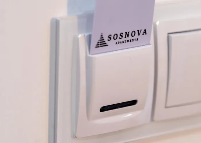 Sosnova Апартаменты *
